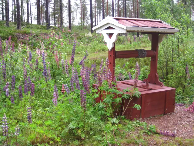 Brunn vid stugan