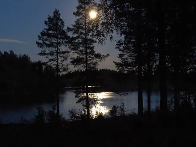 Stilla sjö i kvällssolen