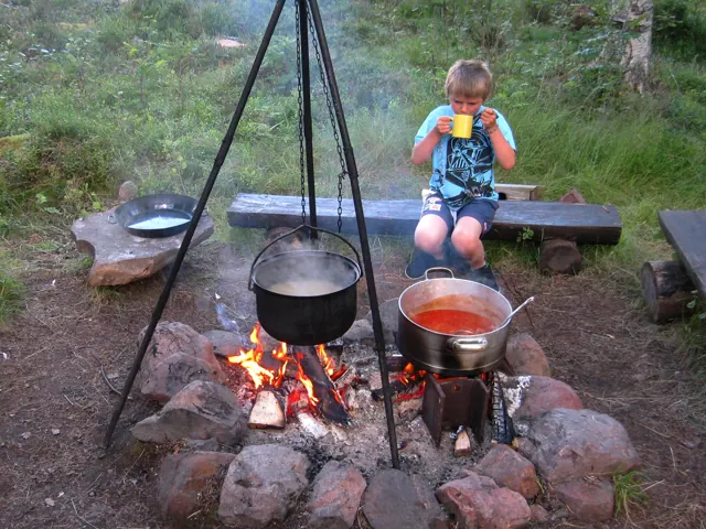 Sommarmotiv från stugans omgivningar