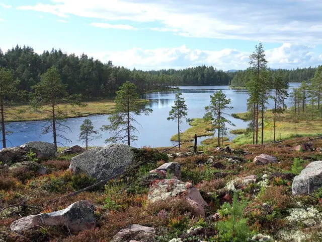 Utsikt över sjön vid Hideaway