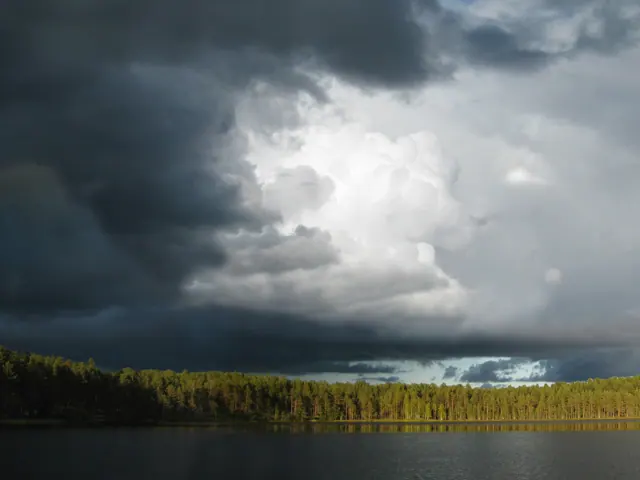Sommarmotiv vid sjön