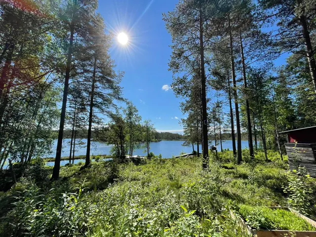Utsikt från terrassen på sommaren
