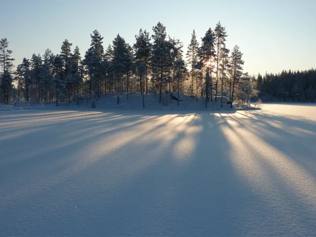 Ljus och skugga i snön