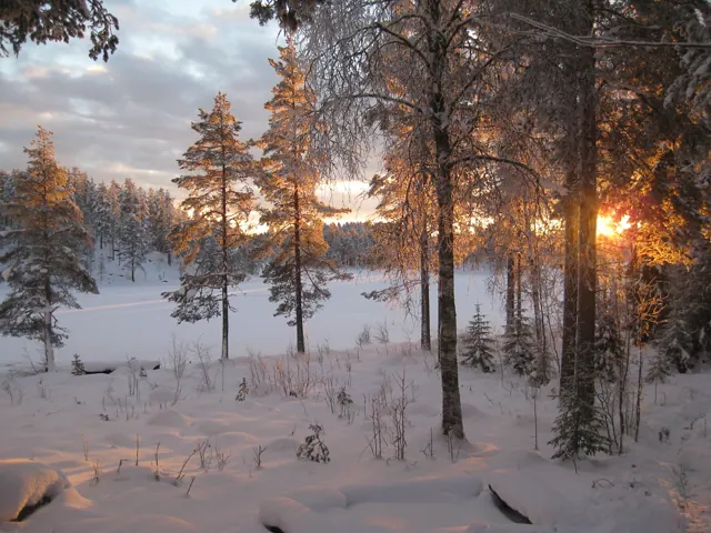 Soluppgång en vintermorgon