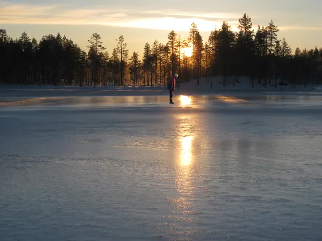 Solnedgång över vinterlandskapet