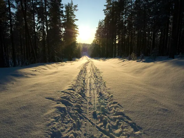 Spår i det snötäckta landskapet