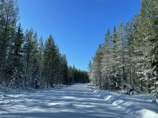 Snötäckt väg till stugan