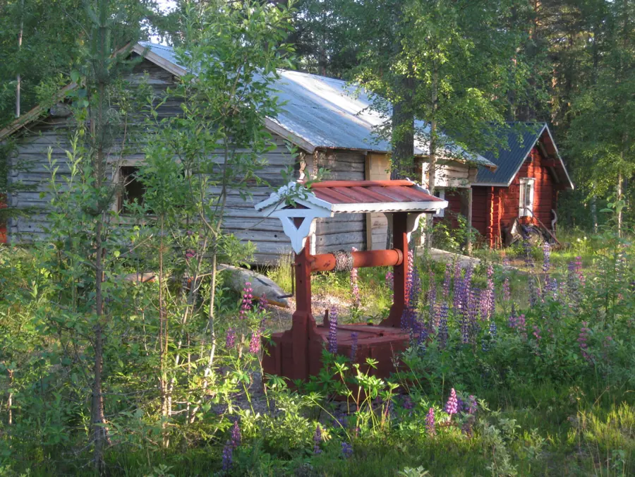 View across the wilderness cabin grounds